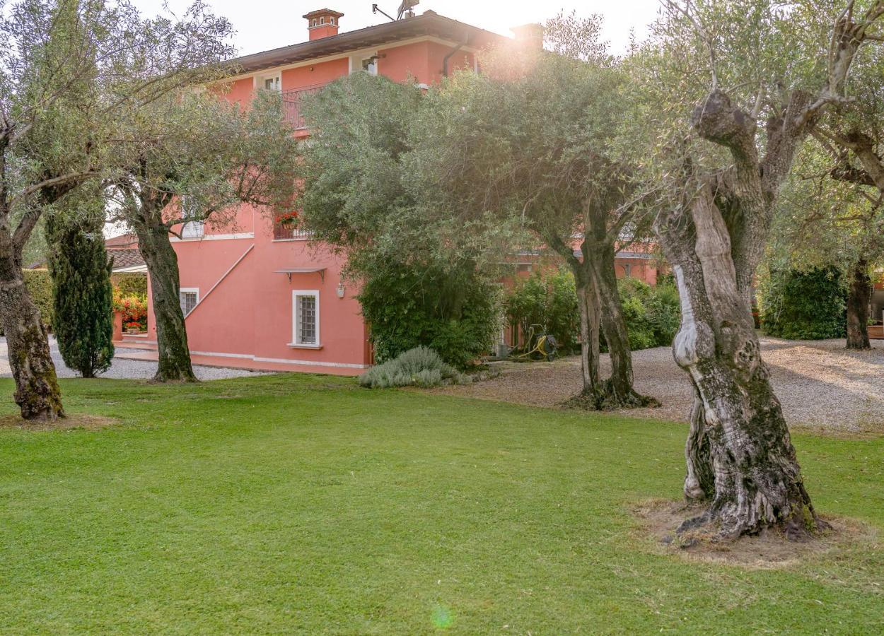 In Versilia Seravezza Exterior photo