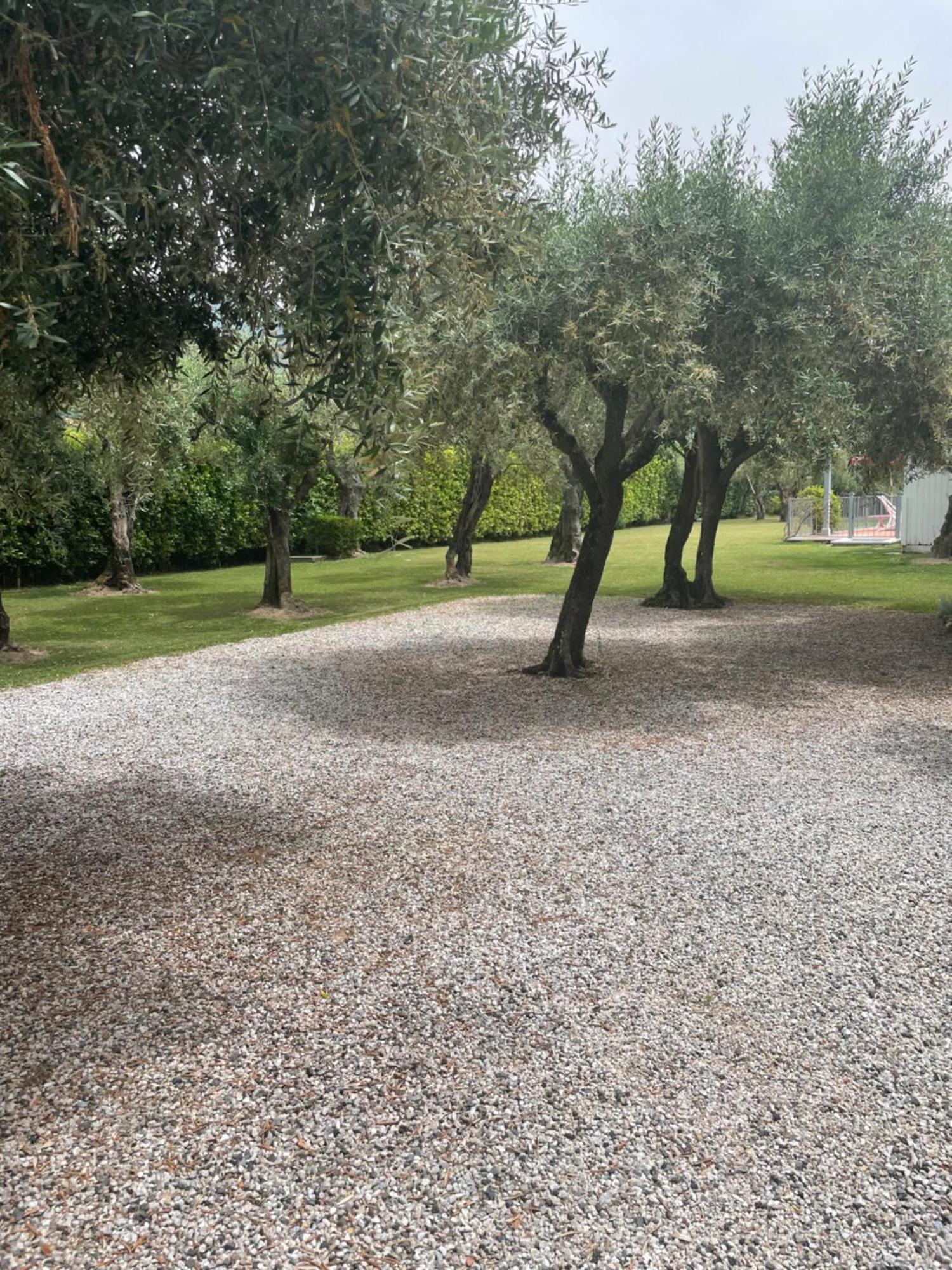 In Versilia Seravezza Exterior photo